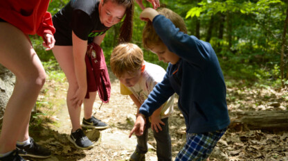 A group of children are playing in the woods.