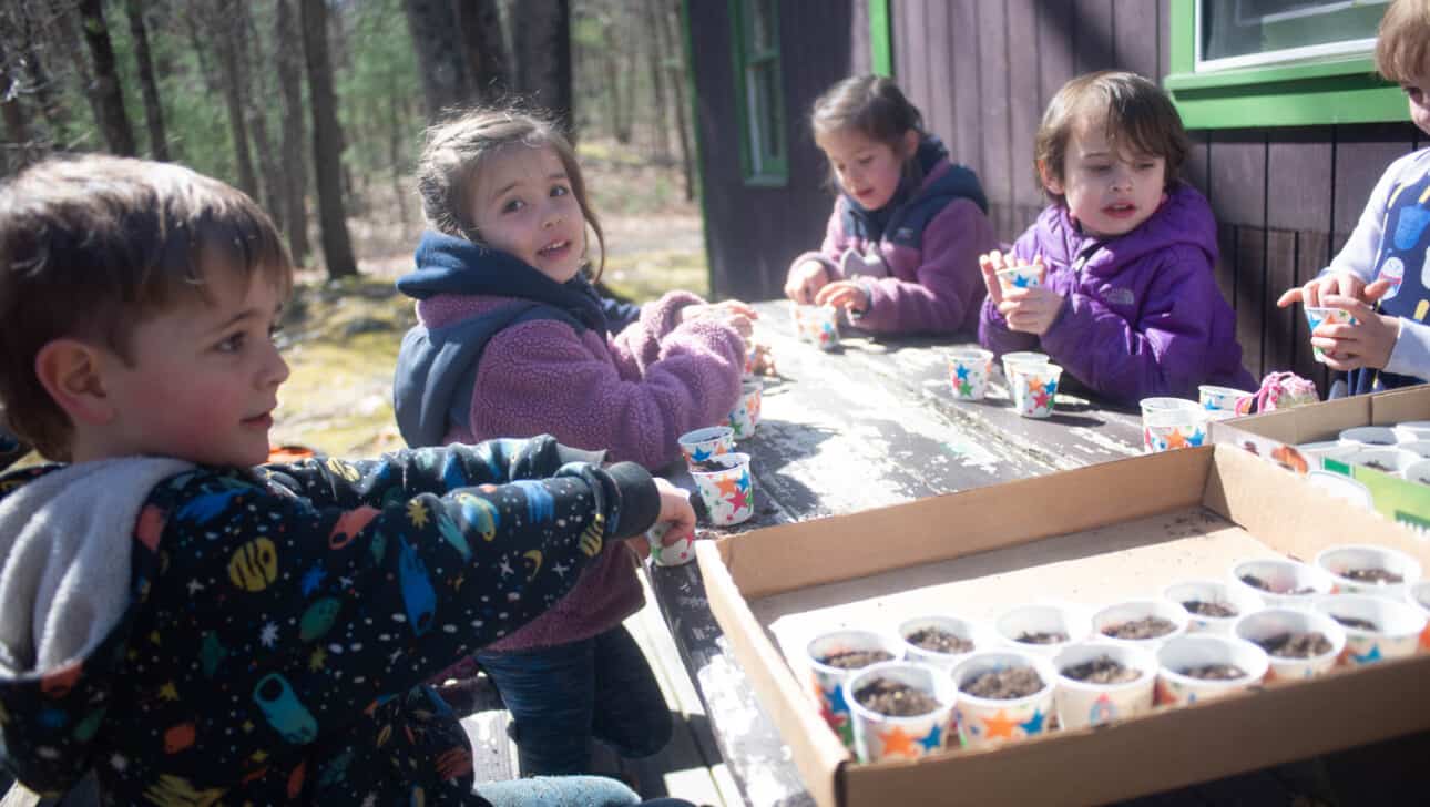 A group of children are sitting at a table with cups of seeds.
